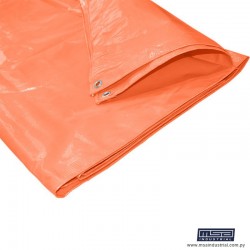 CARPA LONITA ECONÓMICA 2