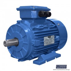 MOTOR TRIFASICO 2HP 4P...